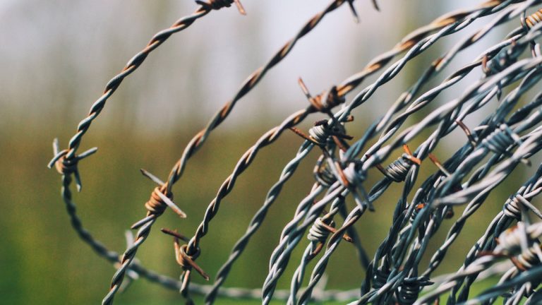 Animals And Pests Keep Intruding Your Garden? Add Fence Spikes To Your Fencing To Keep Them Out: Garden Protection Guide 2022