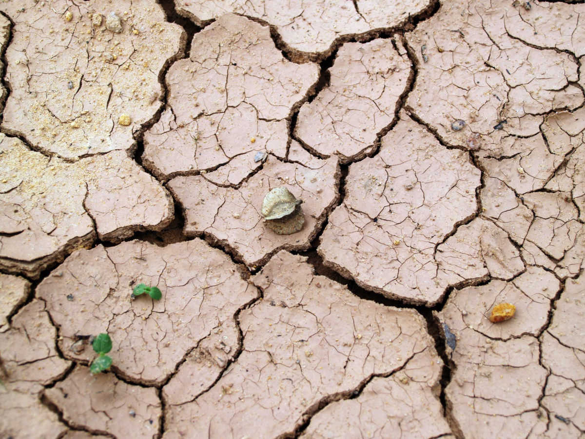 Tips For Drought Season - 7 Essential Practice You Must Do For Survival